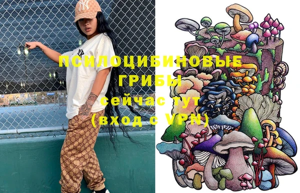 спиды Мегион