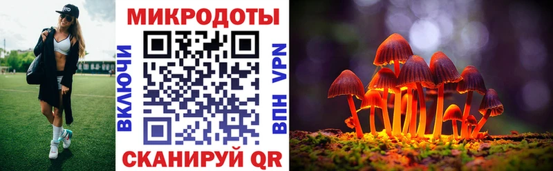 Купить  Димитровград  Галлюциногенные грибы Cubensis 